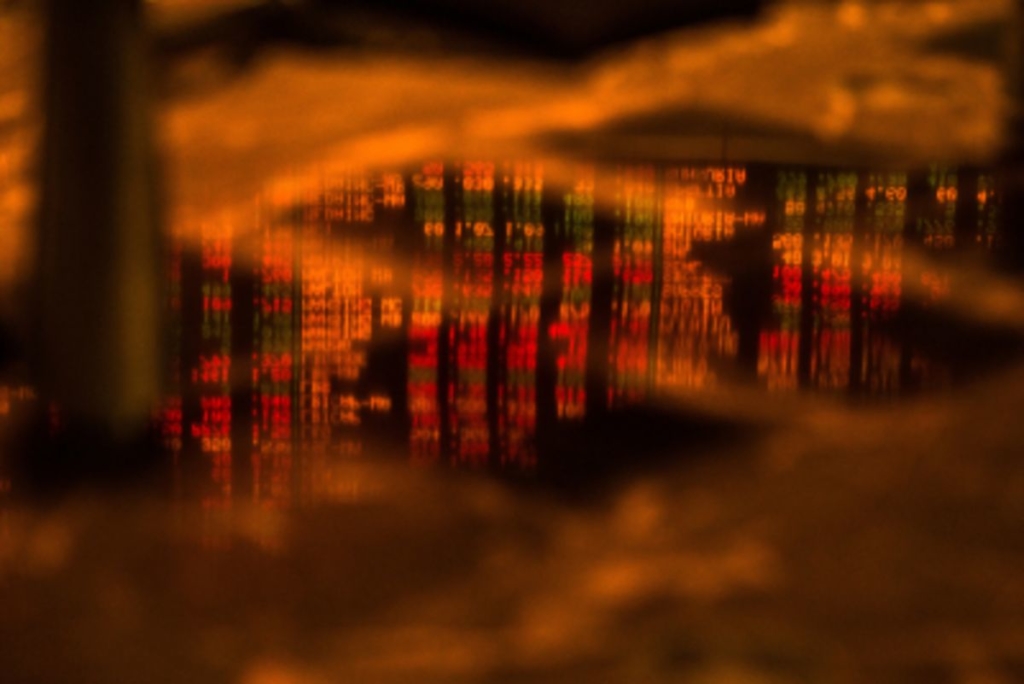 Hedge Funds Dug Into Stocks Right Before the Market Went Mad