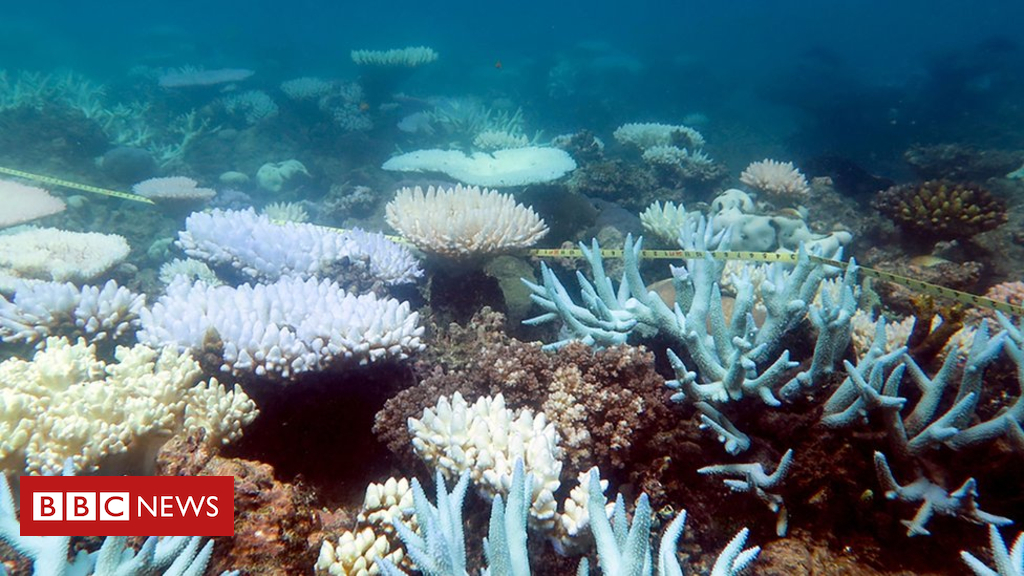 New fund to protect Great Barrier Reef