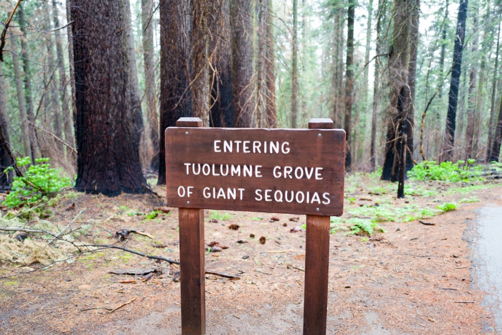 ‘Heartbreaking.’ Government Shutdown Causing Garbage and Human Waste to Pile Up at National Parks