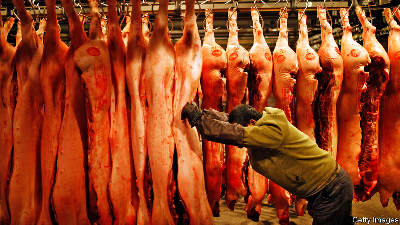 Global meat-eating is on the rise, bringing surprising benefits Global meat-eating is on the rise, bringing surprising benefits