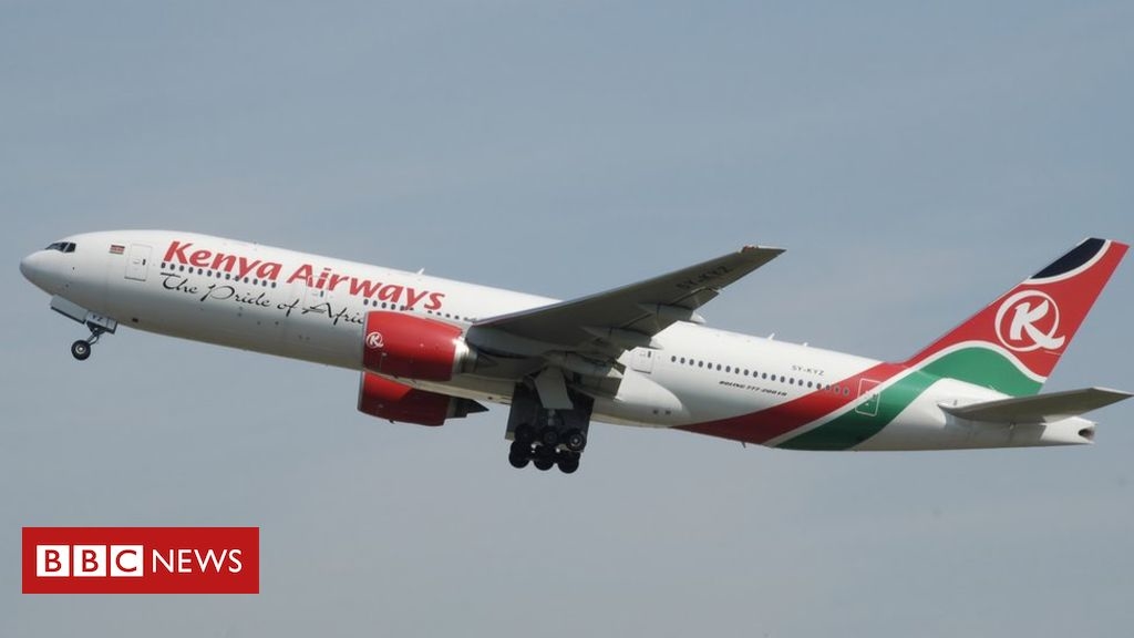 Body of ‘stowaway from Kenya’ found in garden