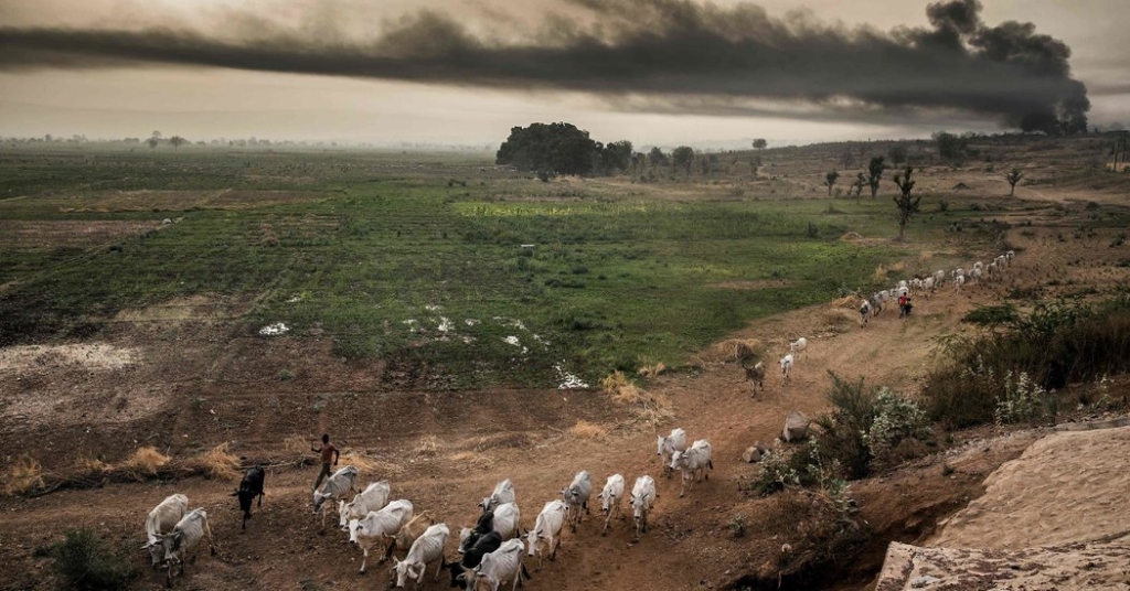 Climate Change Threatens the World’s Food Supply, United Nations Warns