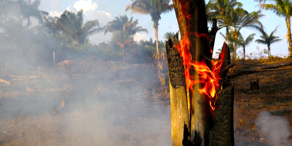 Some of the photos celebrities are sharing of the Amazon fires were actually taken several years ago, and it shows a fundamental problem with social media