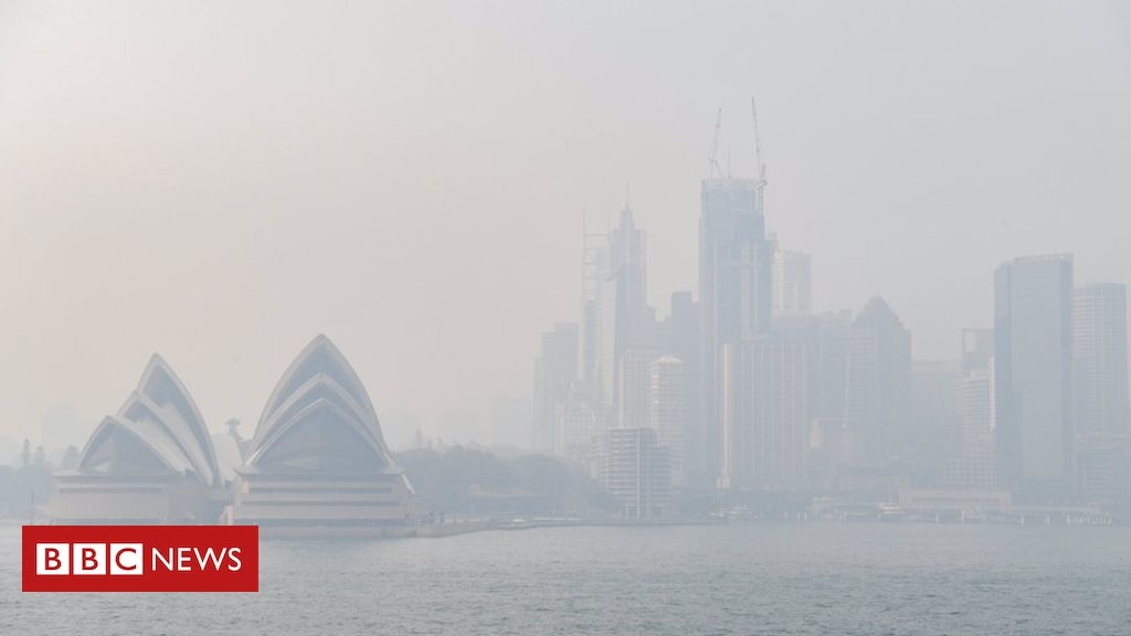 Sydney ‘choking’ on thick smoke from bushfires