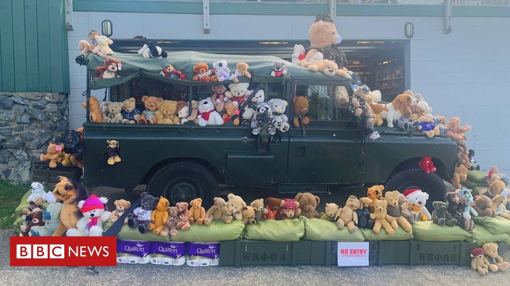 Teddy bear hunt helps distract kids under lockdown