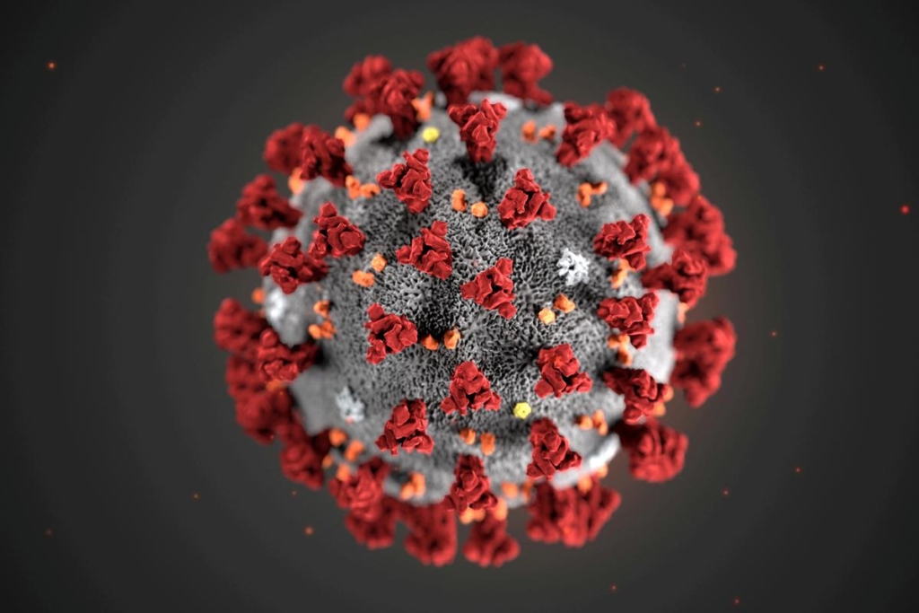 Study suggests coronavirus spread swiftly around world in late 2019