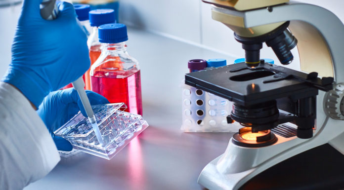 One nonprofit’s ambitious new innovation for rare blood cancer patients One nonprofit’s ambitious new innovation for rare blood cancer patients