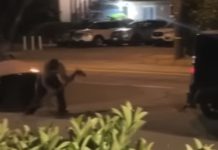 Copper crooks gut internet, kill street lights in Van Nuys heist copper-crooks-gut-internet,-kill-street-lights-in-van-nuys-heist