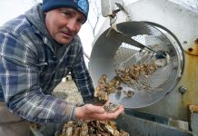 Winter’s deep freeze sank Long Island’s massive oyster industry, costing farmers millions: ‘Worst of the century’ winter’s-deep-freeze-sank-long-island’s-massive-oyster-industry,-costing-farmers-millions:-‘worst-of-the-century’