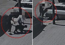 Heartless dognappers caught on camera stealing Labradoodles Coco Chanel and Taco from SoCal car heartless-dognappers-caught-on-camera-stealing-labradoodles-coco-chanel-and-taco-from-socal-car