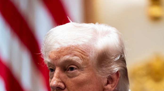 Trump Directs Officials to Pay All D.H.S. Employees trump-directs-officials-to-pay-all-dhs.-employees