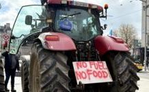 Fuel protests: Fuel tankers regain access to Irish oil refinery fuel-protests:-fuel-tankers-regain-access-to-irish-oil-refinery