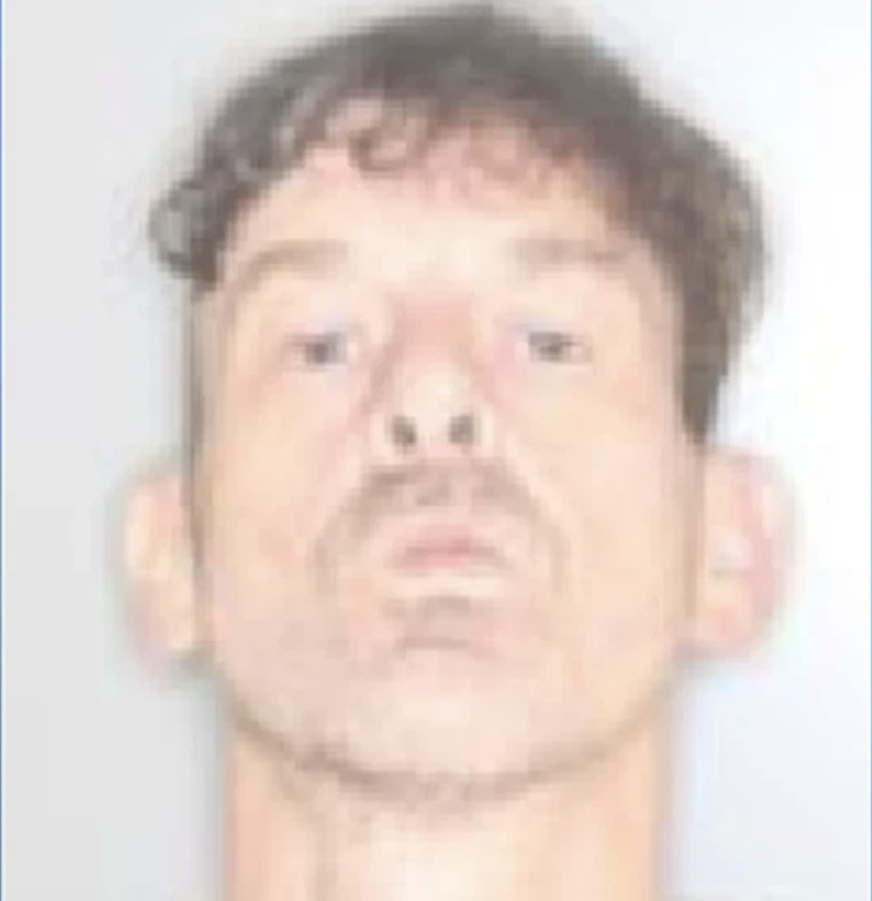 upstate-ny-man-allegedly-tried-to-stab-family-member-—-while-dressed-as-a-cow upstate-ny-man-allegedly-tried-to-stab-family-member-—-while-dressed-as-a-cow