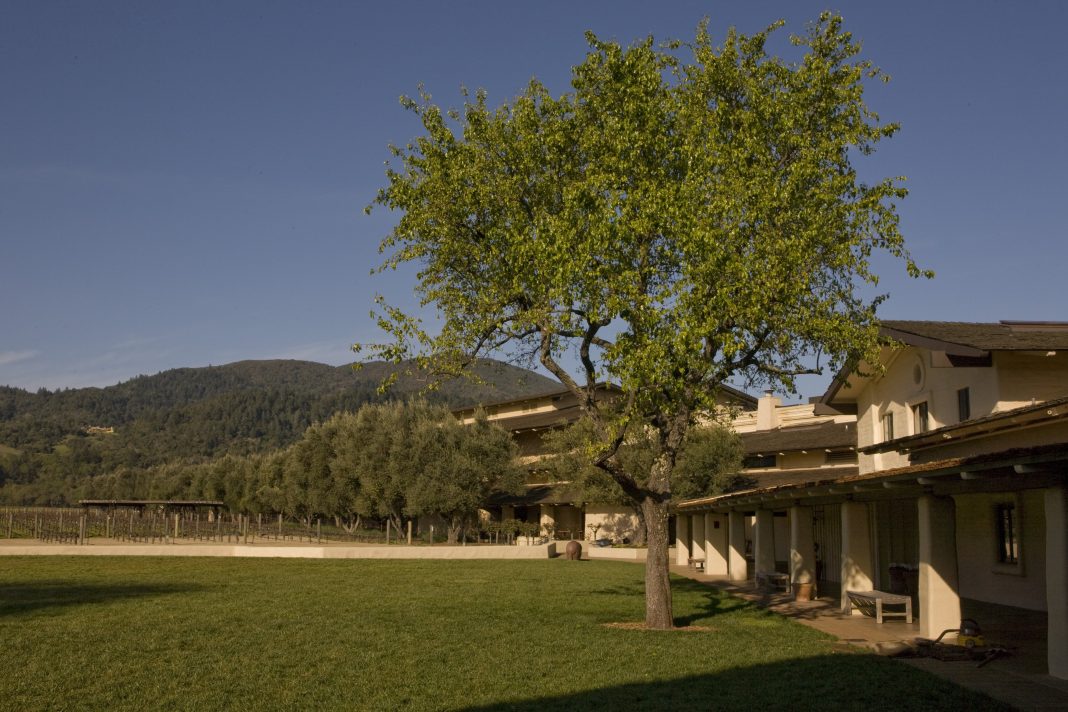 napa-valley-giant-issues-doomsday-warning-for-wine-industry-as-ceo-steps-down napa-valley-giant-issues-doomsday-warning-for-wine-industry-as-ceo-steps-down