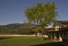 Napa Valley giant issues doomsday warning for wine industry as CEO steps down napa-valley-giant-issues-doomsday-warning-for-wine-industry-as-ceo-steps-down