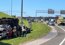 1 million bees swarm highway after crash shuts down interstate ramp for hours 1-million-bees-swarm-highway-after-crash-shuts-down-interstate-ramp-for-hours