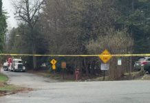 Multiple injured after bus full of NYC high school students and chaperones crashes near Lake George multiple-injured-after-bus-full-of-nyc-high-school-students-and-chaperones-crashes-near-lake-george