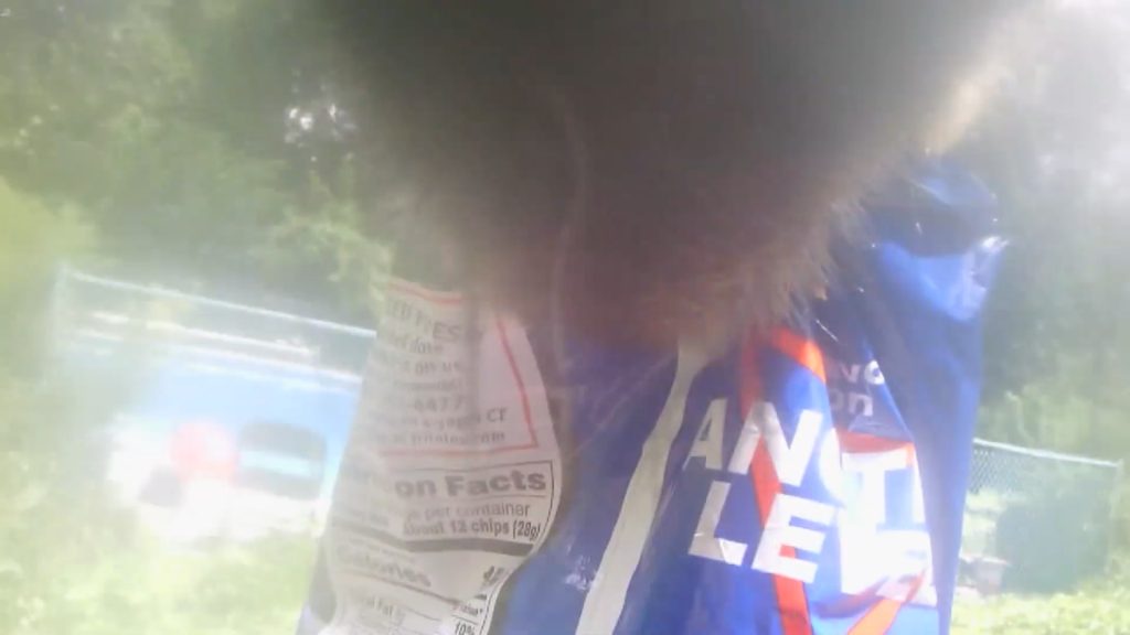 sneaky-bear-snatches-bag-of-doritos-left-outside-ct-home,-video-shows
