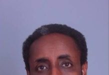 DHS blames ‘weak’ Biden policies after piracy-linked Somali illegal immigrant nabbed at northern border dhs-blames-‘weak’-biden-policies-after-piracy-linked-somali-illegal-immigrant-nabbed-at-northern-border