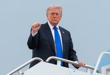 Trump endorses the idea of changing ICE to NICE: ‘Great idea!!’ trump-endorses-the-idea-of-changing-ice-to-nice:-‘great-idea!!’