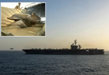 Iran eyeing mine-carrying dolphins to attack US warships in Strait of Hormuz iran-eyeing-mine-carrying-dolphins-to-attack-us-warships-in-strait-of-hormuz