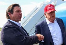 Trump weighs cabinet appointment for Florida Gov. Ron DeSantis trump-weighs-cabinet-appointment-for-florida-gov.-ron-desantis