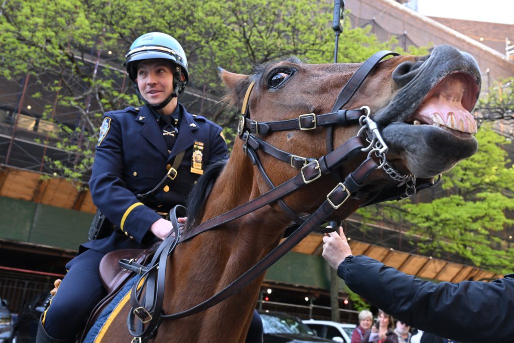 nypd-detective-on-horseback-who-reined-in-purse-thief-promoted-after-western-flick-like-scene