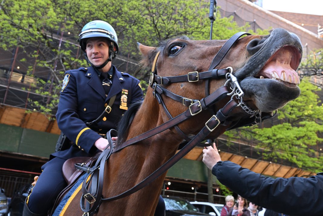 nypd-detective-on-horseback-who-reined-in-purse-thief-promoted-after-western-flick-like-scene