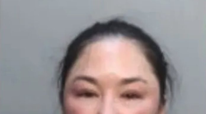 Entitled Delta passenger causes plane to return to gate after refusing to hang up phone before takeoff entitled-delta-passenger-causes-plane-to-return-to-gate-after-refusing-to-hang-up-phone-before-takeoff