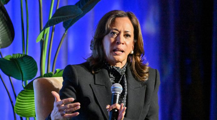 Kamala Harris goes silent in governor’s race — snubbing ex–Biden cabinet ally kamala-harris-goes-silent-in-governor’s-race-—-snubbing-ex–biden-cabinet-ally