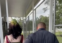 Florida 12-year-old accused of threatening teacher, saying she will ‘shoot up’ school florida-12-year-old-accused-of-threatening-teacher,-saying-she-will-‘shoot-up’-school