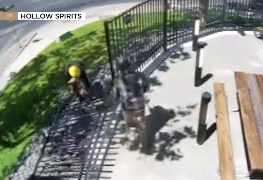 new-mexico-distillery-owner-stunned-by-broad-daylight-theft-of-$10k-fence:-‘didn’t-realize-people-steal-fences’