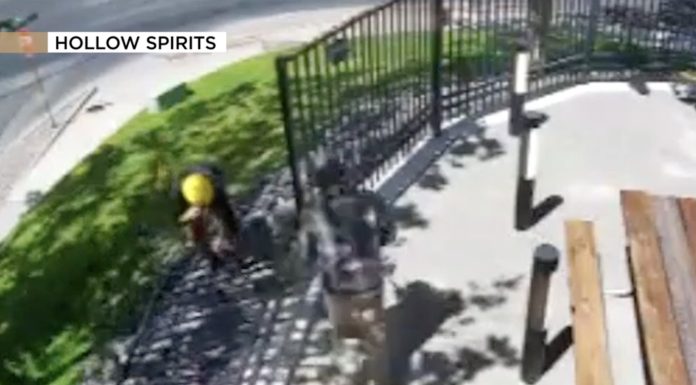 New Mexico distillery owner stunned by broad daylight theft of $10K fence: ‘Didn’t realize people steal fences’ new-mexico-distillery-owner-stunned-by-broad-daylight-theft-of-$10k-fence:-‘didn’t-realize-people-steal-fences’