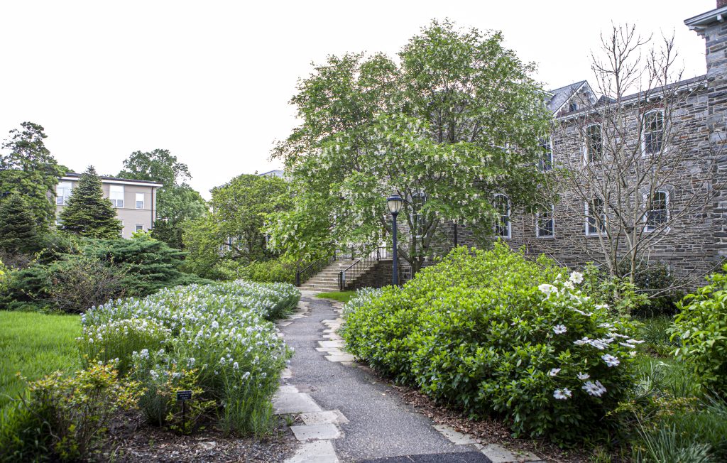 pennsylvania-liberal-arts-college-drops-professor’s-name-from-campus-building-after-he-excavated-native-american-burial-site